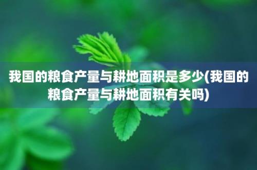 我国的粮食产量与耕地面积是多少(我国的粮食产量与耕地面积有关吗)