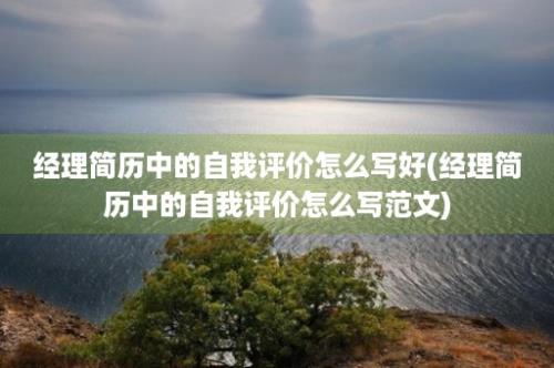 经理简历中的自我评价怎么写好(经理简历中的自我评价怎么写范文)