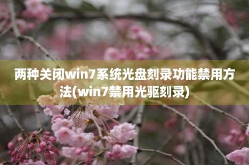 两种关闭win7系统光盘刻录功能禁用方法(win7禁用光驱刻录)