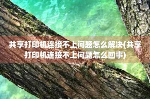 共享打印机连接不上问题怎么解决(共享打印机连接不上问题怎么回事)