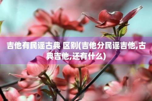 吉他有民谣古典 区别(吉他分民谣吉他,古典吉他,还有什么)