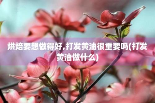 烘焙要想做得好,打发黄油很重要吗(打发黄油做什么)