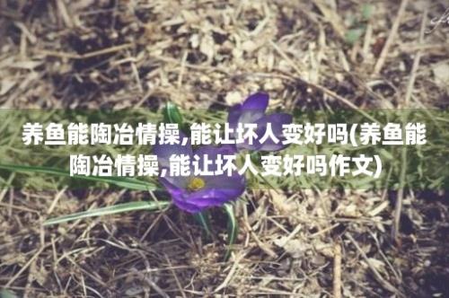 养鱼能陶冶情操,能让坏人变好吗(养鱼能陶冶情操,能让坏人变好吗作文)