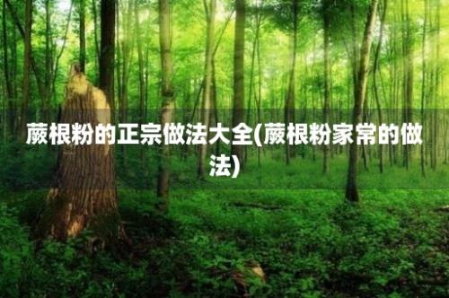 蕨根粉的正宗做法大全(蕨根粉家常的做法)