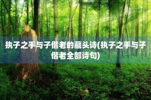 执子之手与子偕老的藏头诗(执子之手与子偕老全部诗句)