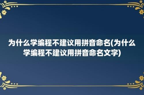 为什么学编程不建议用拼音命名(为什么学编程不建议用拼音命名文字)