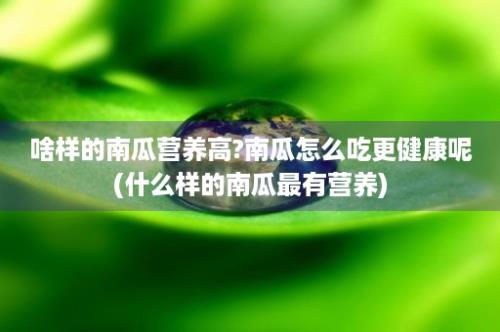 啥样的南瓜营养高?南瓜怎么吃更健康呢(什么样的南瓜最有营养)