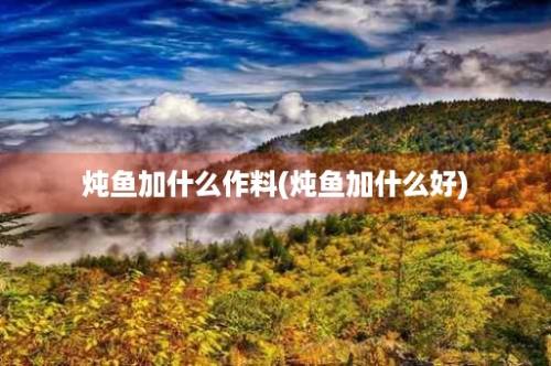 炖鱼加什么作料(炖鱼加什么好)