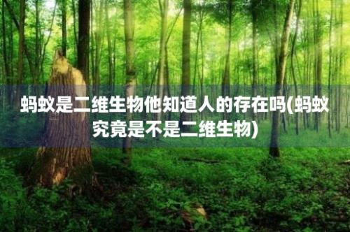 蚂蚁是二维生物他知道人的存在吗(蚂蚁究竟是不是二维生物)