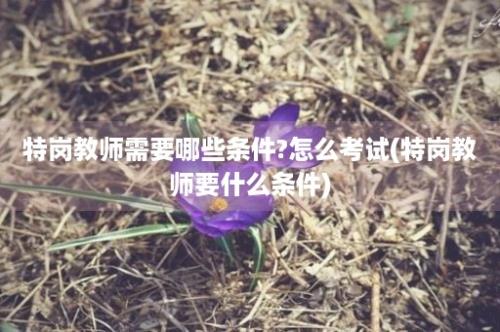 特岗教师需要哪些条件?怎么考试(特岗教师要什么条件)