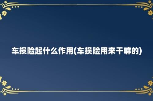 车损险起什么作用(车损险用来干嘛的)