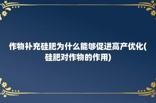 作物补充硅肥为什么能够促进高产优化(硅肥对作物的作用)