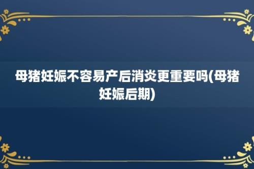 母猪妊娠不容易产后消炎更重要吗(母猪妊娠后期)