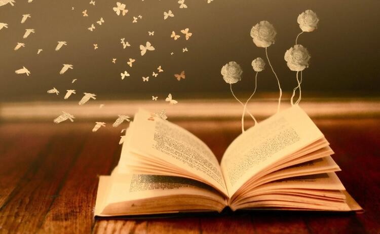 南辕北辙的道理和启示是什么