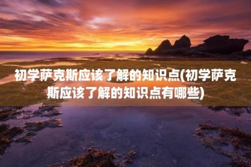 初学萨克斯应该了解的知识点(初学萨克斯应该了解的知识点有哪些)