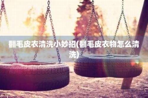 翻毛皮衣清洗小妙招(翻毛皮衣物怎么清洗)