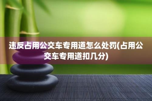 违反占用公交车专用道怎么处罚(占用公交车专用道扣几分)