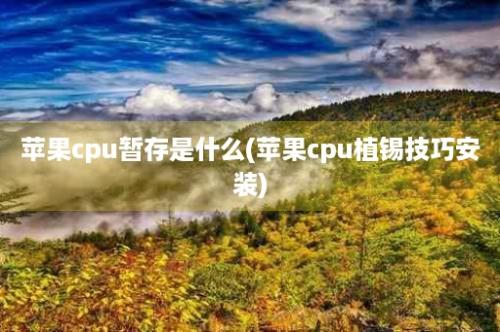 苹果cpu暂存是什么(苹果cpu植锡技巧安装)