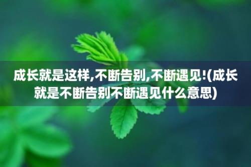 成长就是这样,不断告别,不断遇见!(成长就是不断告别不断遇见什么意思)