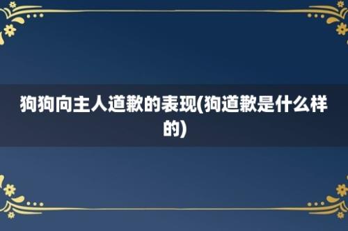 狗狗向主人道歉的表现(狗道歉是什么样的)