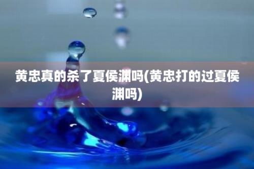 黄忠真的杀了夏侯渊吗(黄忠打的过夏侯渊吗)