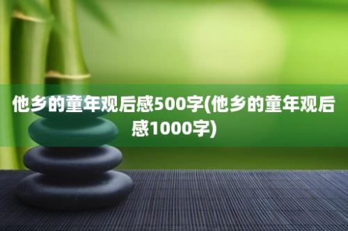 他乡的童年观后感500字(他乡的童年观后感1000字)