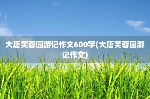 大唐芙蓉园游记作文600字(大唐芙蓉园游记作文)