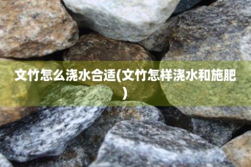 文竹怎么浇水合适(文竹怎样浇水和施肥)