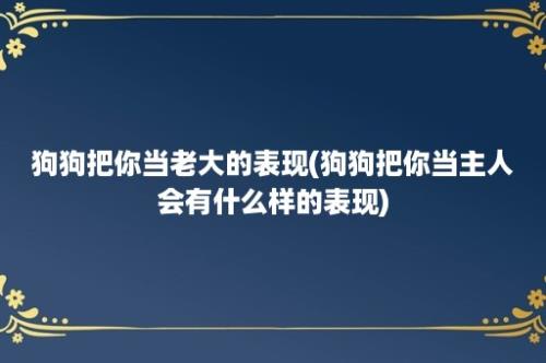 狗狗把你当老大的表现(狗狗把你当主人会有什么样的表现)