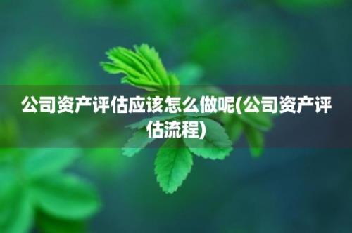 公司资产评估应该怎么做呢(公司资产评估流程)