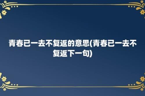 青春已一去不复返的意思(青春已一去不复返下一句)