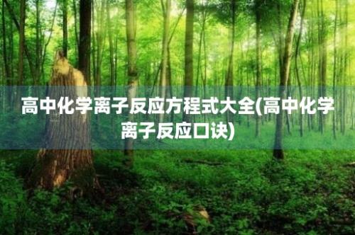 高中化学离子反应方程式大全(高中化学离子反应口诀)