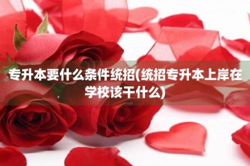 专升本要什么条件统招(统招专升本上岸在学校该干什么)