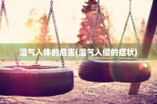 湿气入体的危害(湿气入侵的症状)