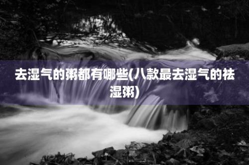 去湿气的粥都有哪些(八款最去湿气的祛湿粥)