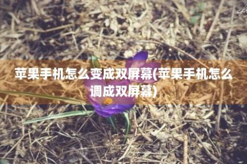 苹果手机怎么变成双屏幕(苹果手机怎么调成双屏幕)