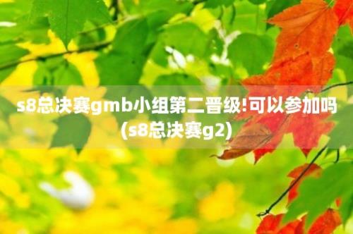 s8总决赛gmb小组第二晋级!可以参加吗(s8总决赛g2)