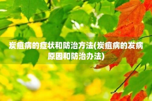 炭疽病的症状和防治方法(炭疽病的发病原因和防治办法)