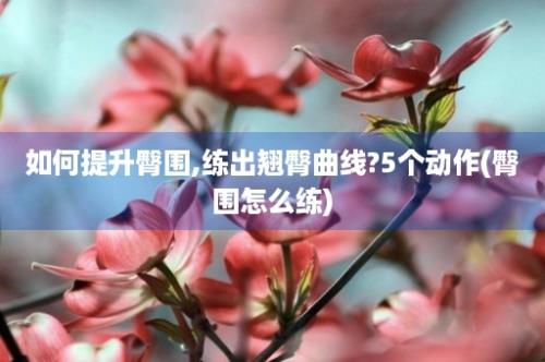 如何提升臀围,练出翘臀曲线?5个动作(臀围怎么练)