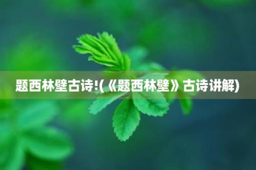 题西林壁古诗!(《题西林壁》古诗讲解)