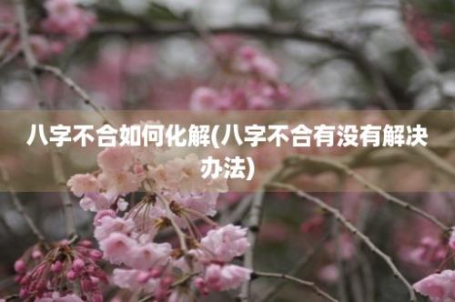 八字不合如何化解(八字不合有没有解决办法)