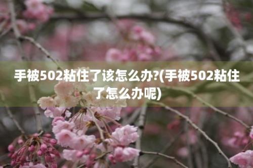 手被502粘住了该怎么办?(手被502粘住了怎么办呢)