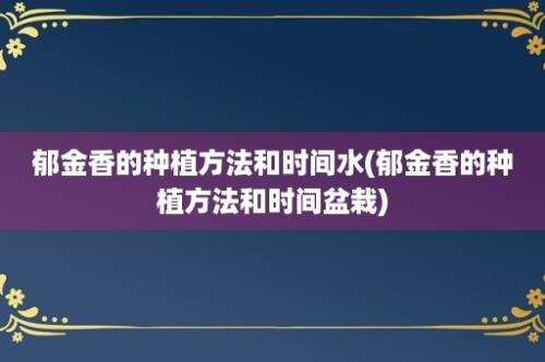 郁金香的种植方法和时间水(郁金香的种植方法和时间盆栽)