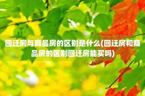 回迁房与商品房的区别是什么(回迁房和商品房的区别回迁房能买吗)