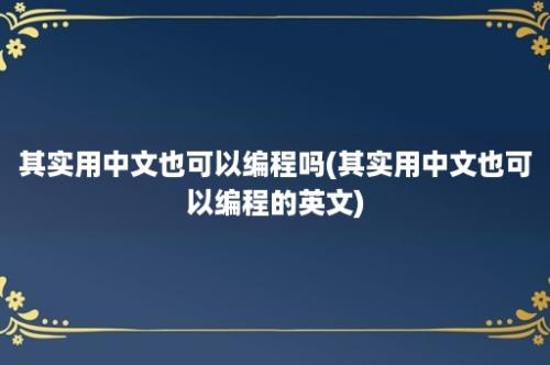 其实用中文也可以编程吗(其实用中文也可以编程的英文)