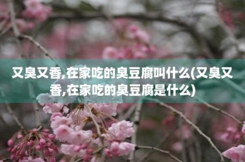 又臭又香,在家吃的臭豆腐叫什么(又臭又香,在家吃的臭豆腐是什么)