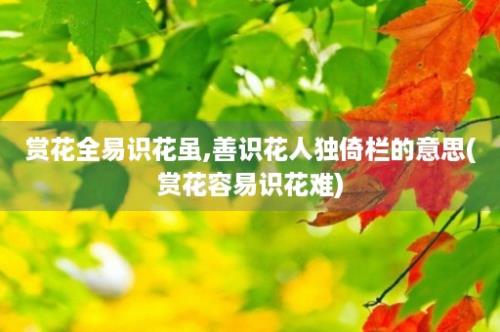 赏花全易识花虽,善识花人独倚栏的意思(赏花容易识花难)