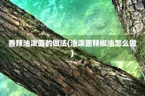 香辣油泼面的做法(油泼面辣椒油怎么做)