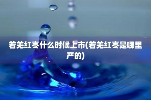 若羌红枣什么时候上市(若羌红枣是哪里产的)