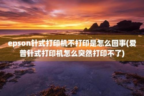 epson针式打印机不打印是怎么回事(爱普针式打印机怎么突然打印不了)